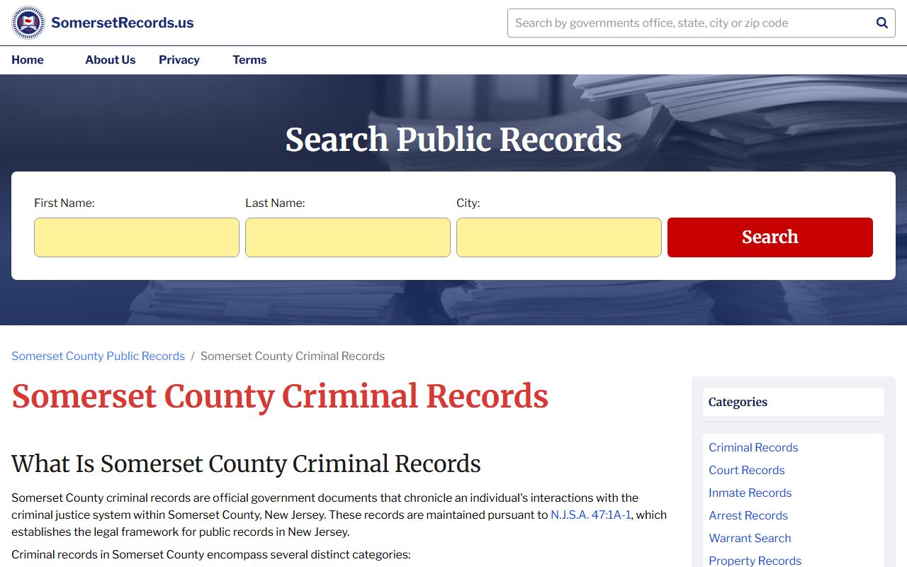 Somerset County criminal records search results from court portal